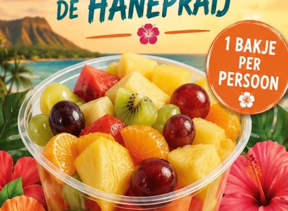 Zomerfeest Hanepraij